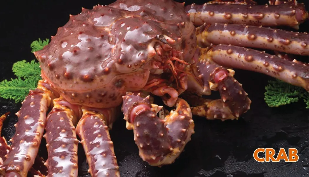 Red King Crab