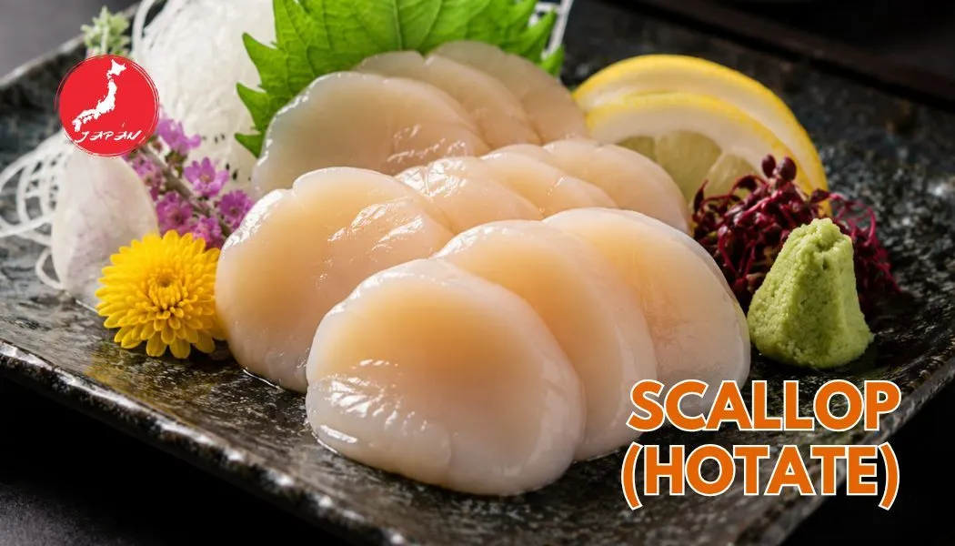 Scallop (Hotate)
