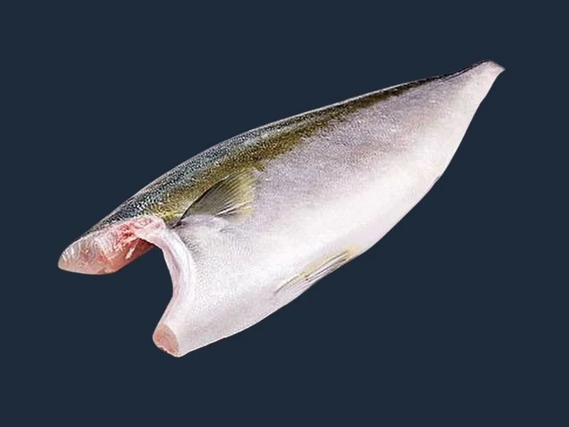 Hamachi Fillet Seki