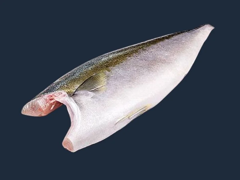 Kanpachi Fillet